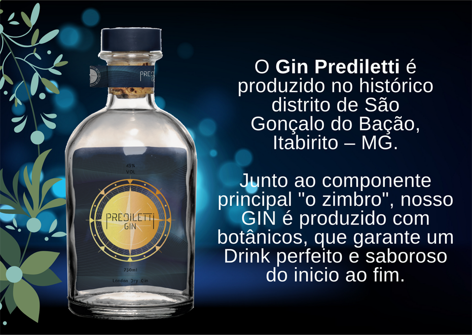 Gin Prediletti - A presentação